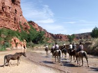 A cheval